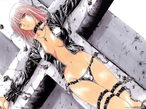 ����� ������� �������